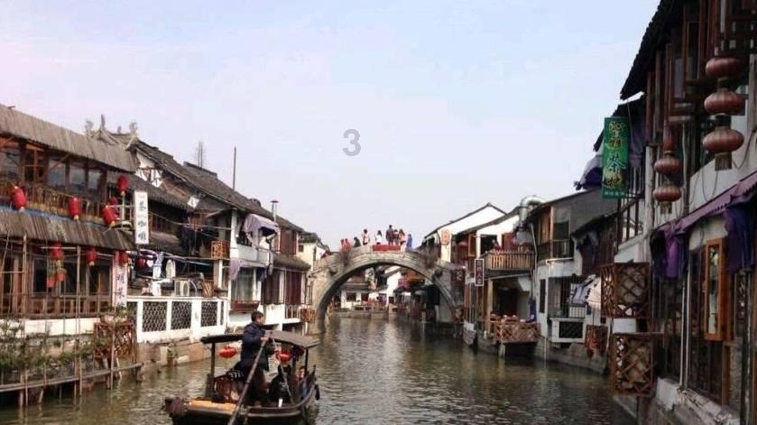 动物帮帮忙保卫家园